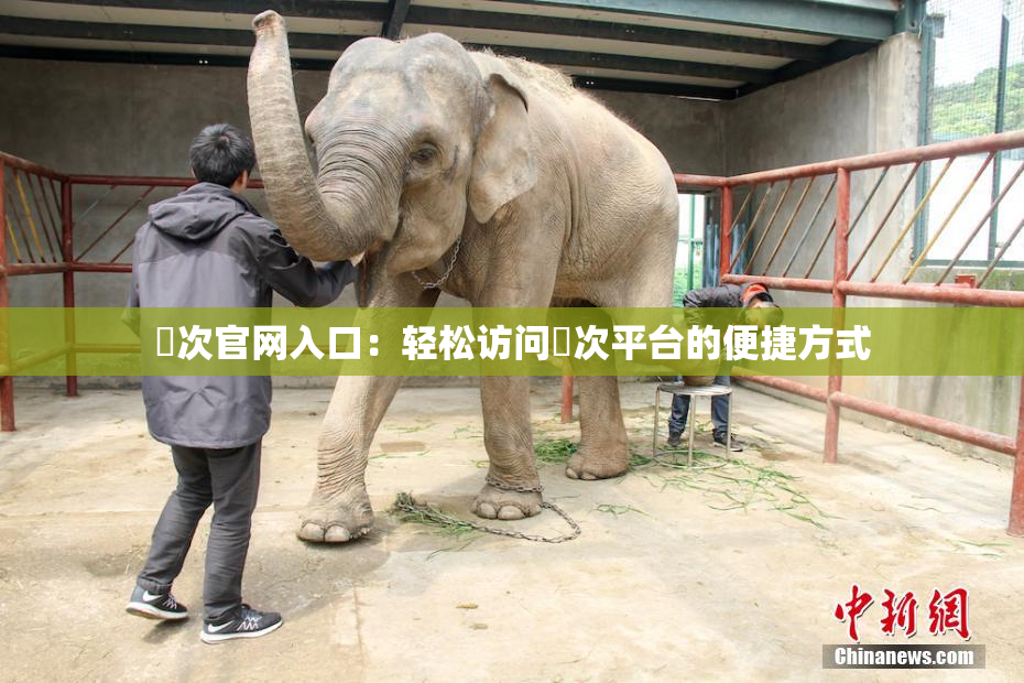 囧次官网入口：轻松访问囧次平台的便捷方式