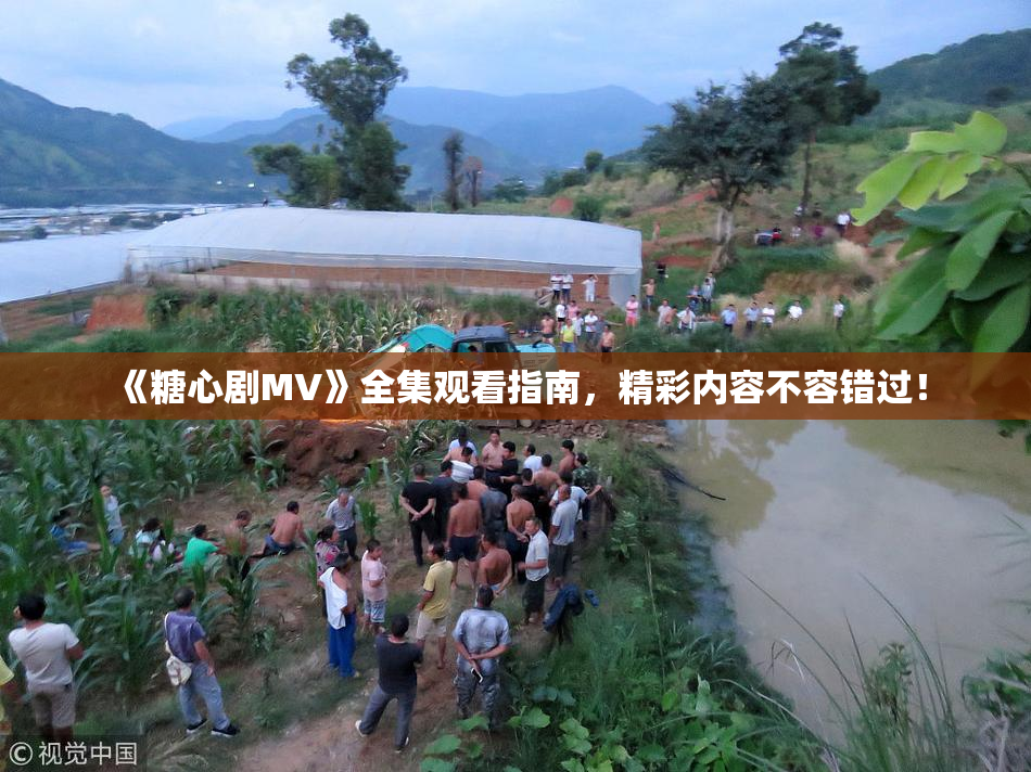 《糖心剧MV》全集观看指南，精彩内容不容错过！