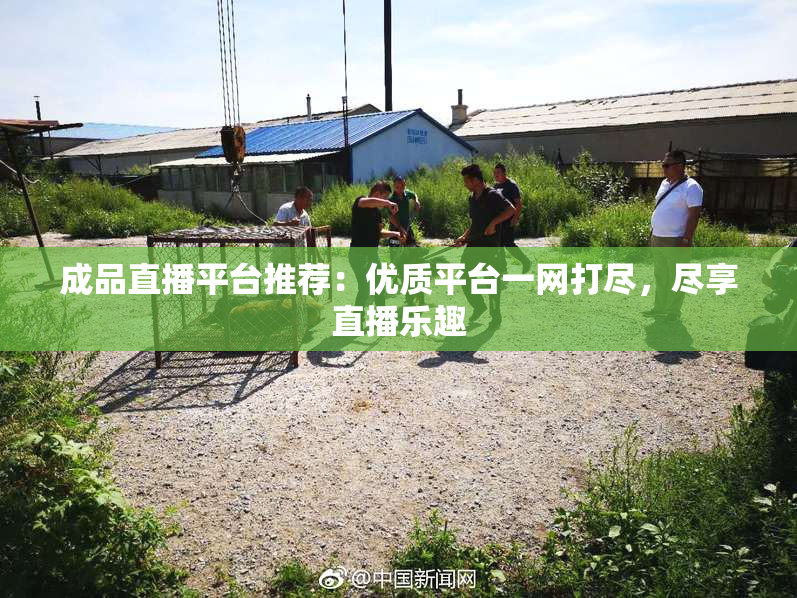 成品直播平台推荐：优质平台一网打尽，尽享直播乐趣