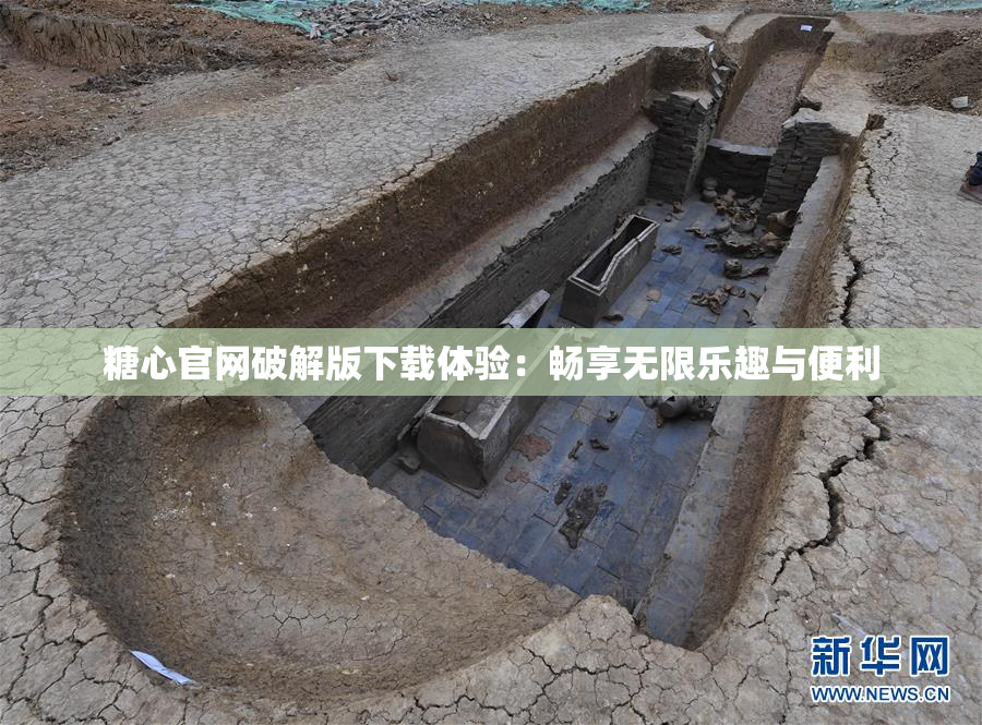 糖心官网破解版下载体验：畅享无限乐趣与便利