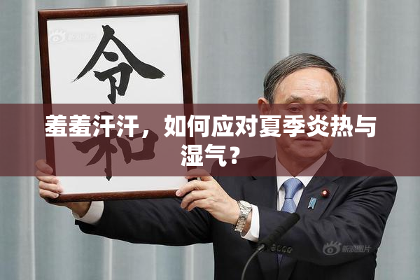 羞羞汗汗，如何应对夏季炎热与湿气？
