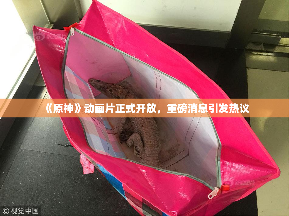 《原神》动画片正式开放，重磅消息引发热议