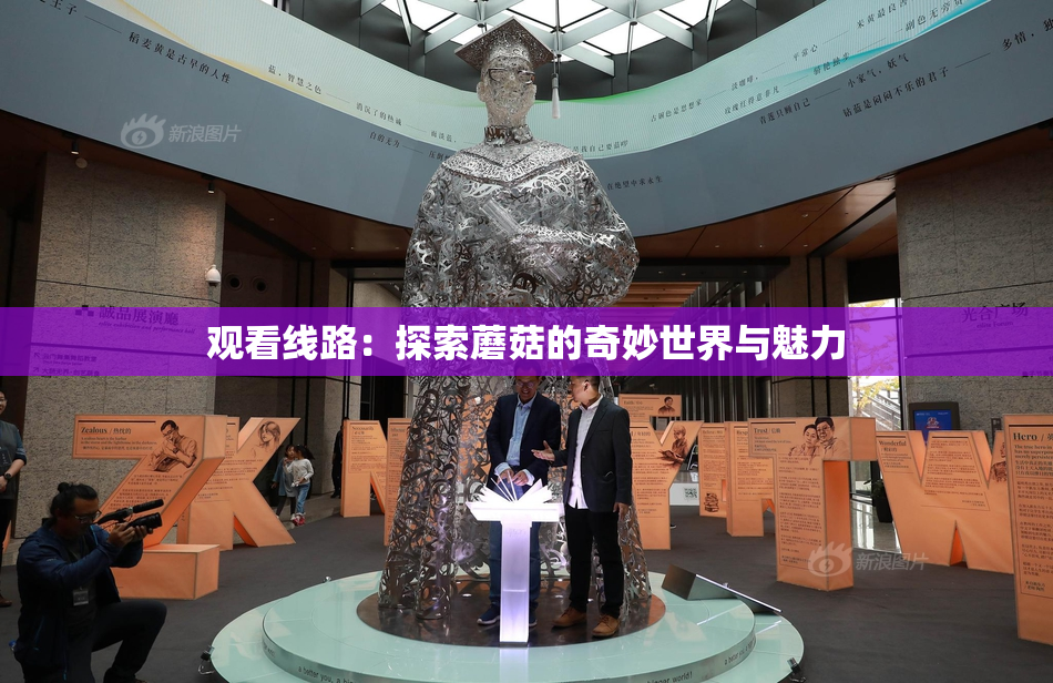 观看线路：探索蘑菇的奇妙世界与魅力