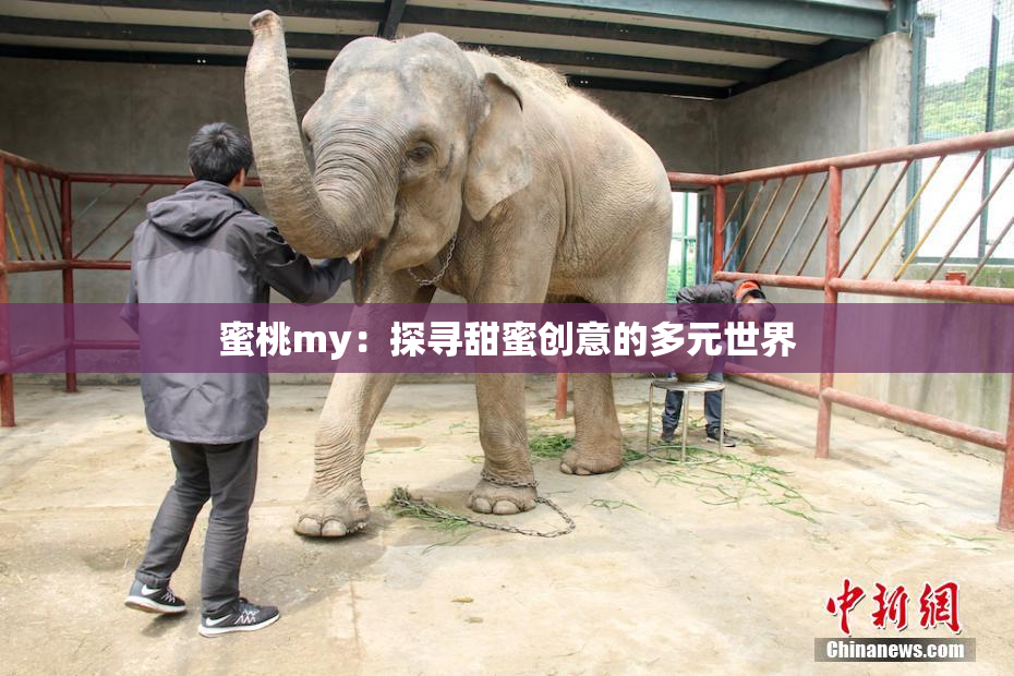 蜜桃my：探寻甜蜜创意的多元世界