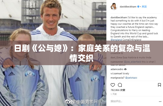 日剧《公与媳》：家庭关系的复杂与温情交织