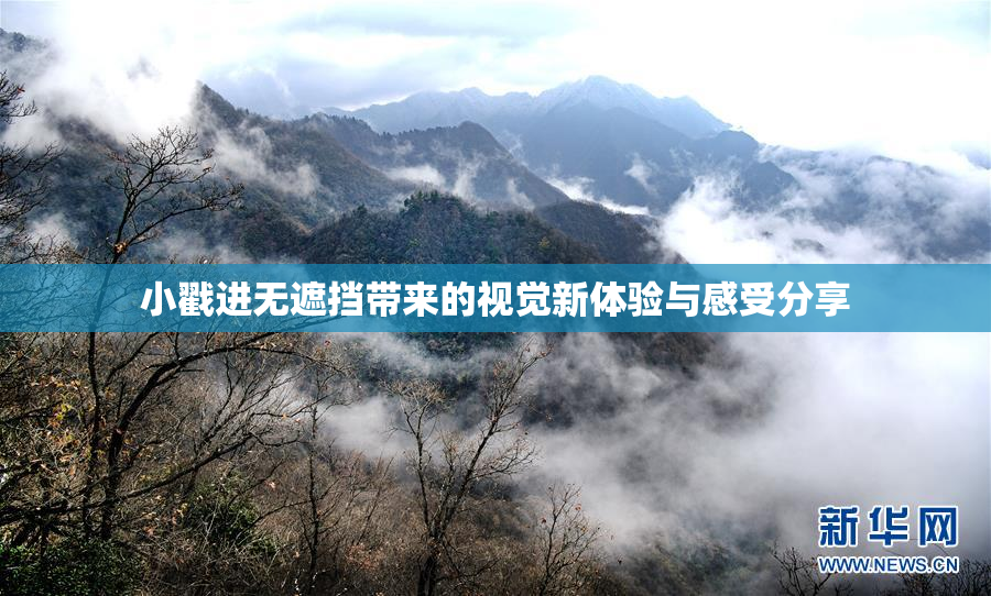 小戳进无遮挡带来的视觉新体验与感受分享