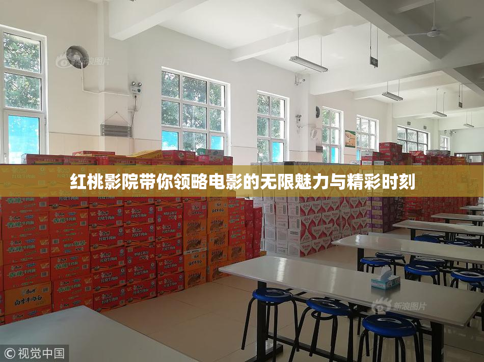 红桃影院带你领略电影的无限魅力与精彩时刻