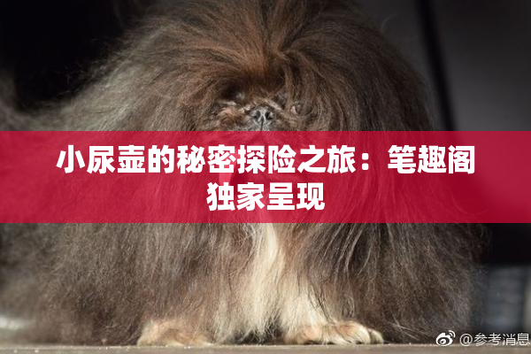 小尿壶的秘密探险之旅：笔趣阁独家呈现