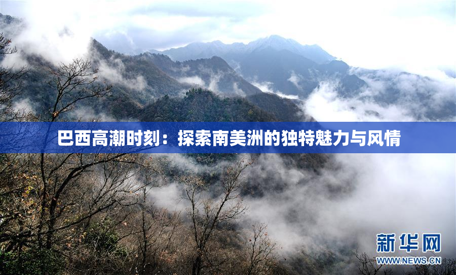 巴西高潮时刻：探索南美洲的独特魅力与风情