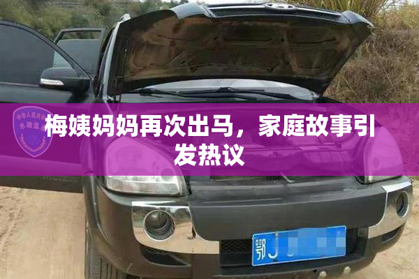 梅姨妈妈再次出马，家庭故事引发热议
