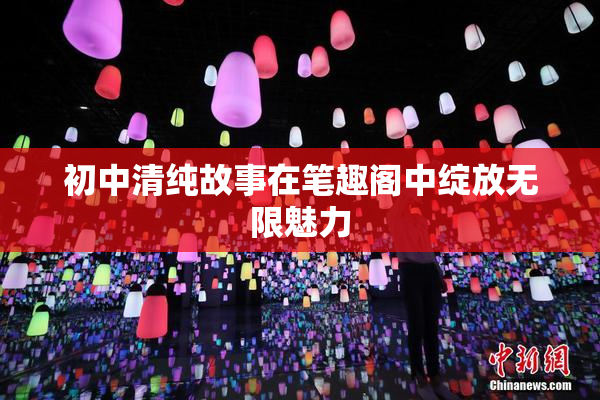 初中清纯故事在笔趣阁中绽放无限魅力