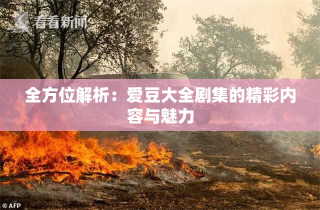 全方位解析：爱豆大全剧集的精彩内容与魅力