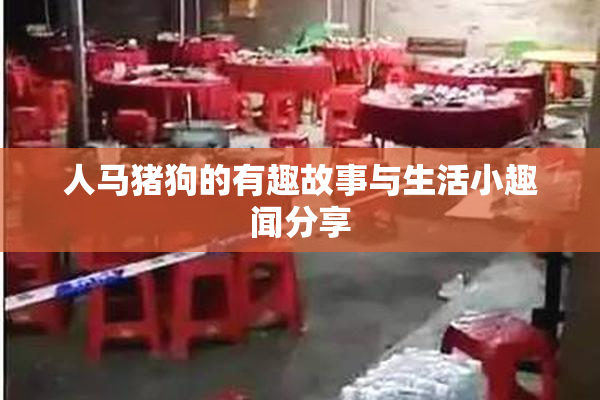 人马猪狗的有趣故事与生活小趣闻分享