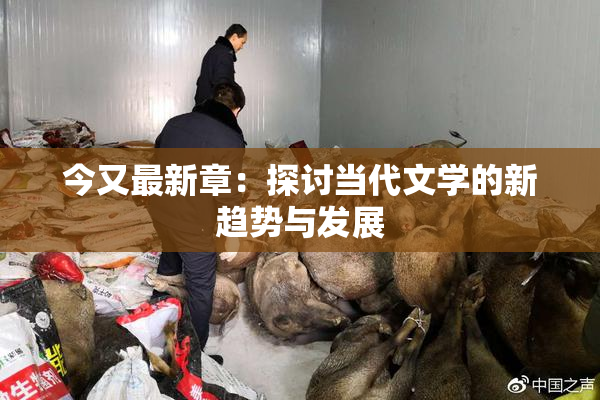 今又最新章：探讨当代文学的新趋势与发展