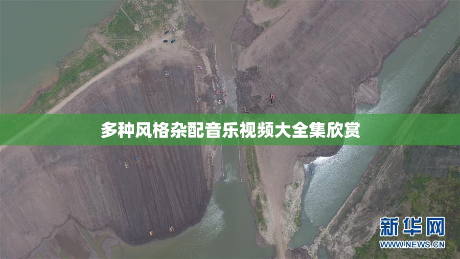 多种风格杂配音乐视频大全集欣赏