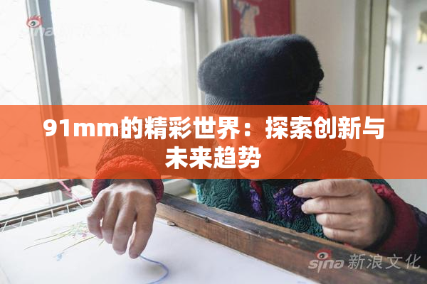 91mm的精彩世界：探索创新与未来趋势