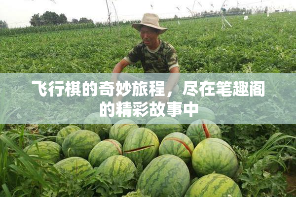 飞行棋的奇妙旅程，尽在笔趣阁的精彩故事中