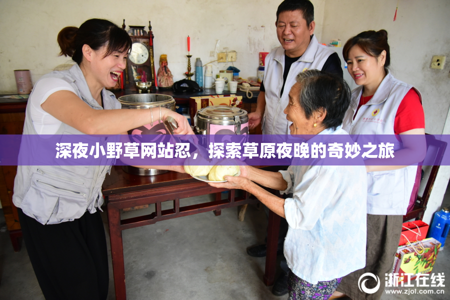 深夜小野草网站忍，探索草原夜晚的奇妙之旅