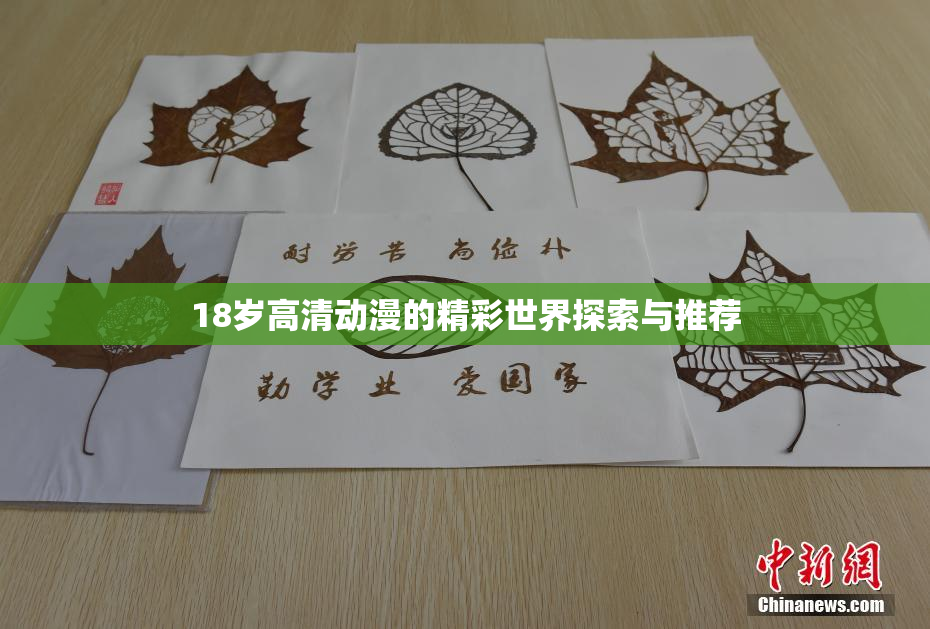 18岁高清动漫的精彩世界探索与推荐