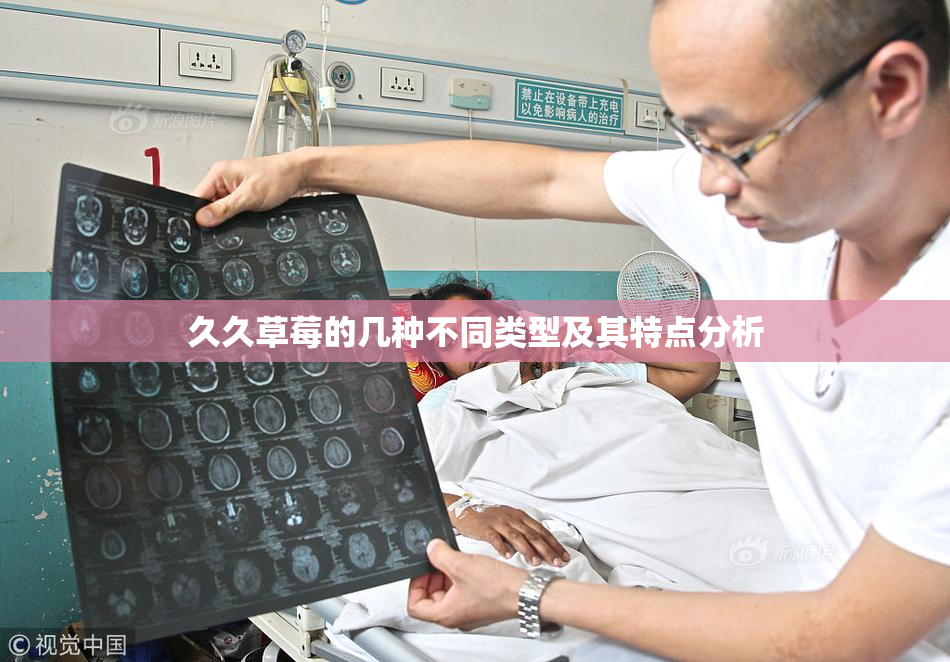 久久草莓的几种不同类型及其特点分析