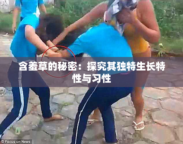 含羞草的秘密：探究其独特生长特性与习性