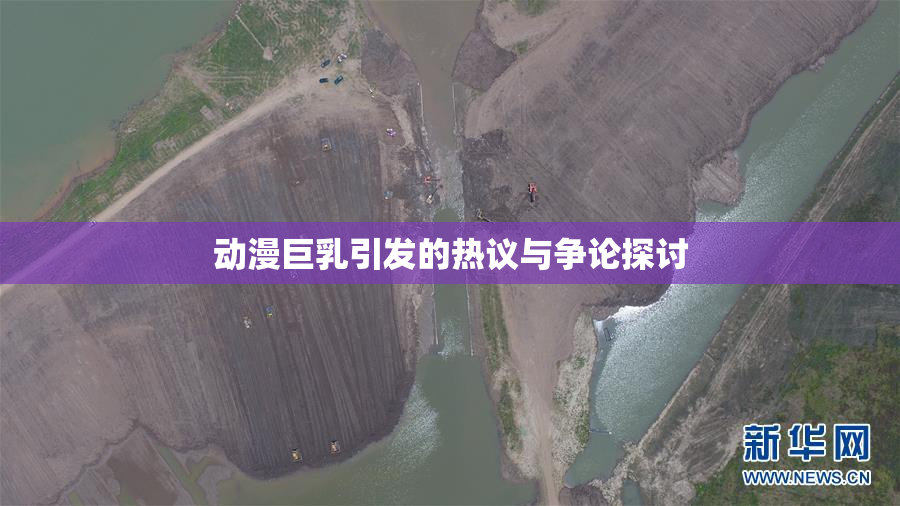 动漫巨乳引发的热议与争论探讨