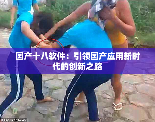 国产十八软件：引领国产应用新时代的创新之路