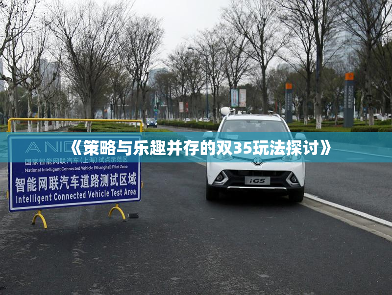 《策略与乐趣并存的双35玩法探讨》