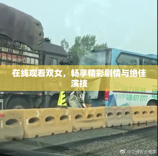 在线观看双女，畅享精彩剧情与绝佳演技