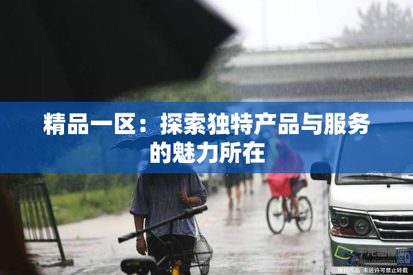 精品一区：探索独特产品与服务的魅力所在