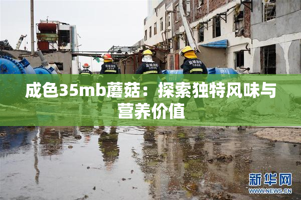 成色35mb蘑菇：探索独特风味与营养价值