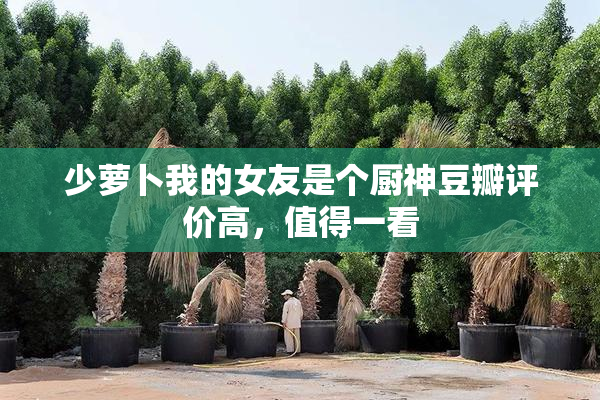 少萝卜我的女友是个厨神豆瓣评价高，值得一看