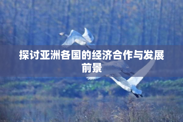 探讨亚洲各国的经济合作与发展前景