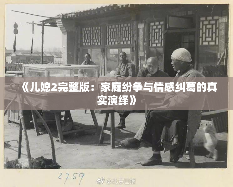 《儿媳2完整版：家庭纷争与情感纠葛的真实演绎》
