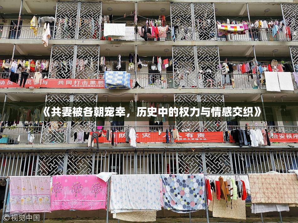 《共妻被各朝宠幸，历史中的权力与情感交织》