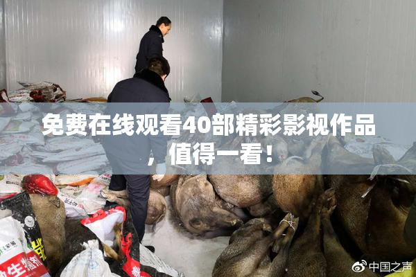 免费在线观看40部精彩影视作品，值得一看！
