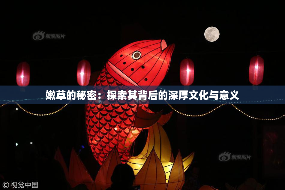 嫩草的秘密：探索其背后的深厚文化与意义