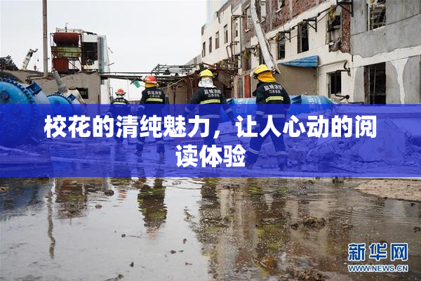 校花的清纯魅力，让人心动的阅读体验
