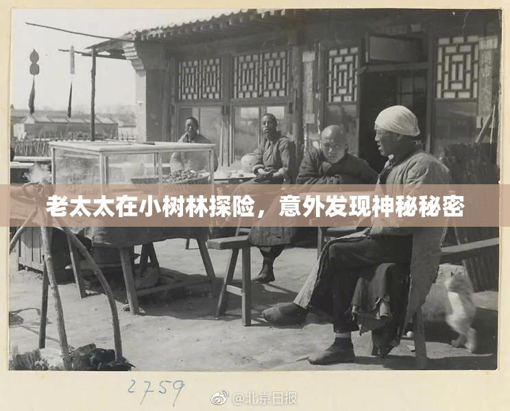 老太太在小树林探险，意外发现神秘秘密