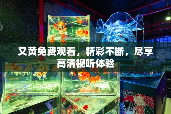 又黄免费观看，精彩不断，尽享高清视听体验