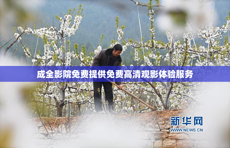 成全影院免费提供免费高清观影体验服务