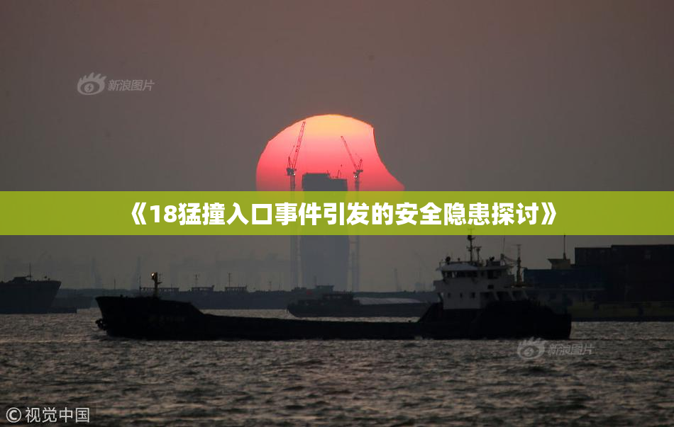 《18猛撞入口事件引发的安全隐患探讨》