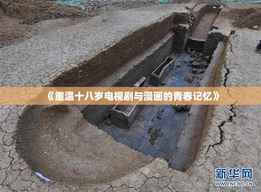 《重温十八岁电视剧与漫画的青春记忆》