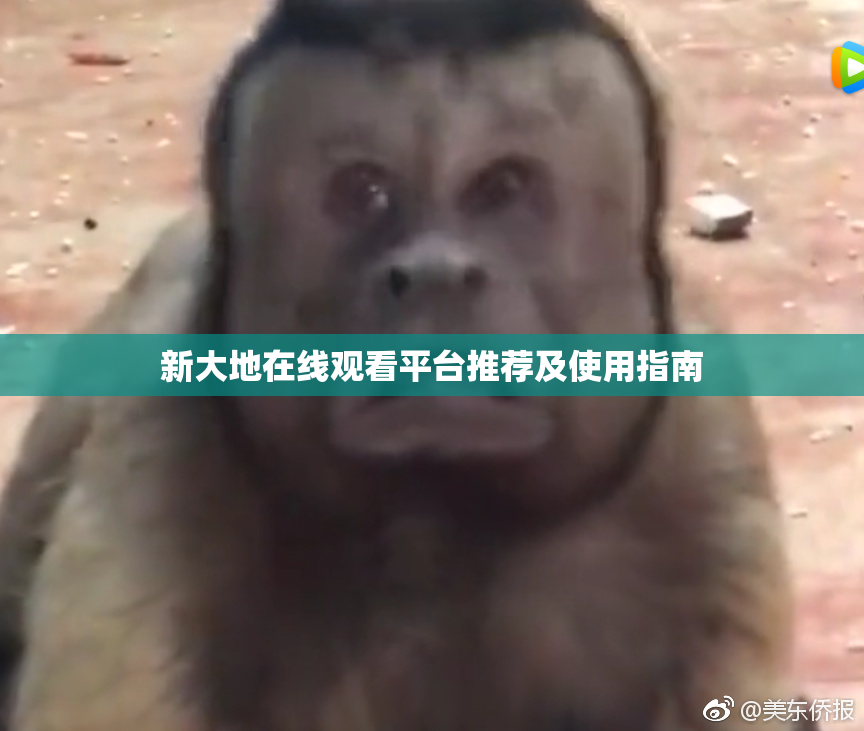 新大地在线观看平台推荐及使用指南