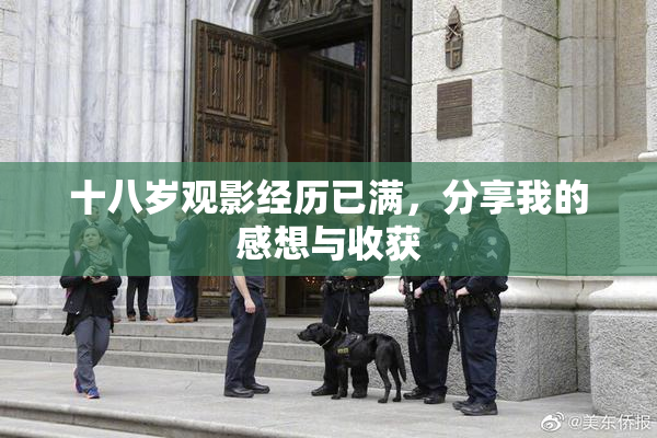 十八岁观影经历已满，分享我的感想与收获