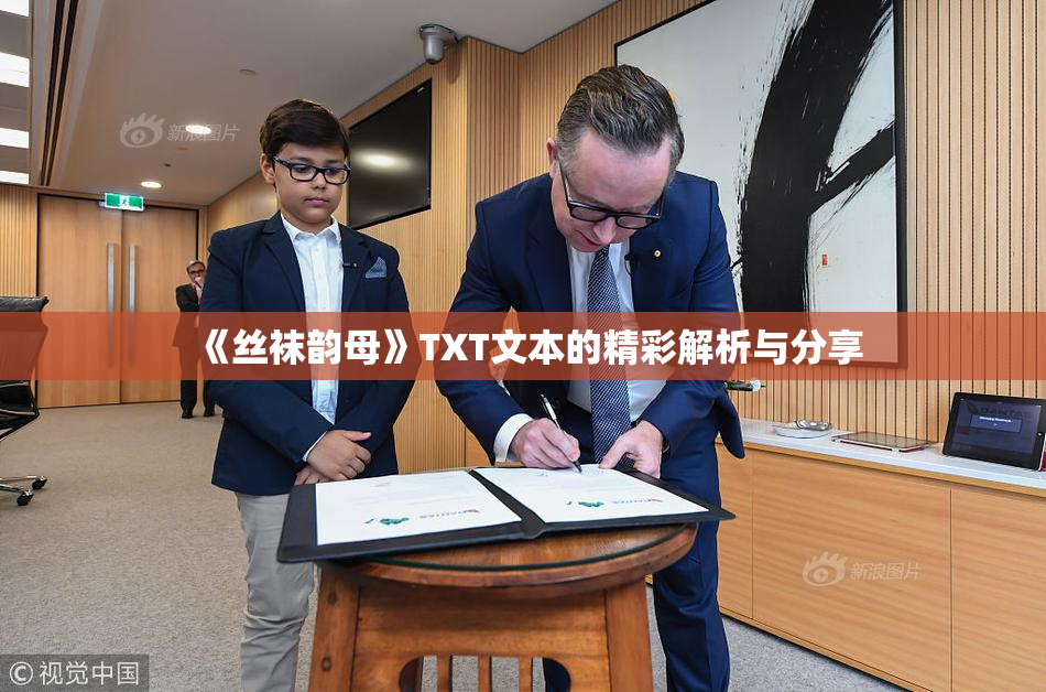 《丝袜韵母》TXT文本的精彩解析与分享