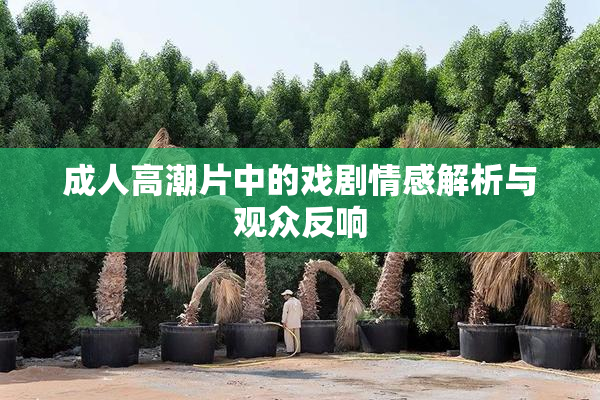 成人高潮片中的戏剧情感解析与观众反响