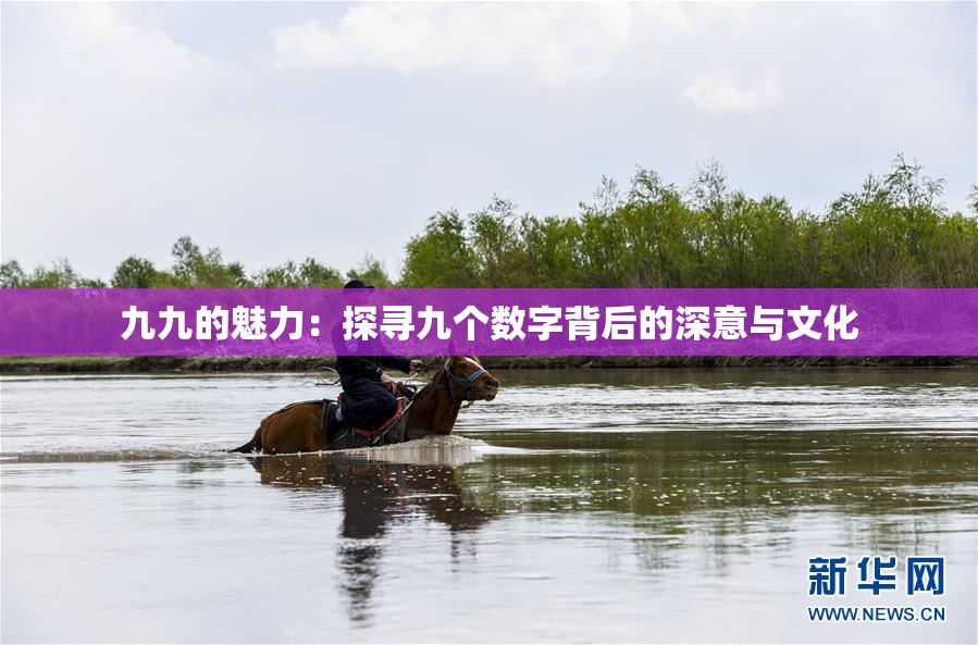 九九的魅力：探寻九个数字背后的深意与文化