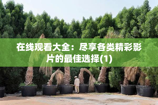 在线观看大全：尽享各类精彩影片的最佳选择(1)