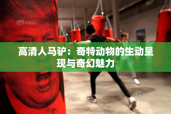 高清人马驴：奇特动物的生动呈现与奇幻魅力